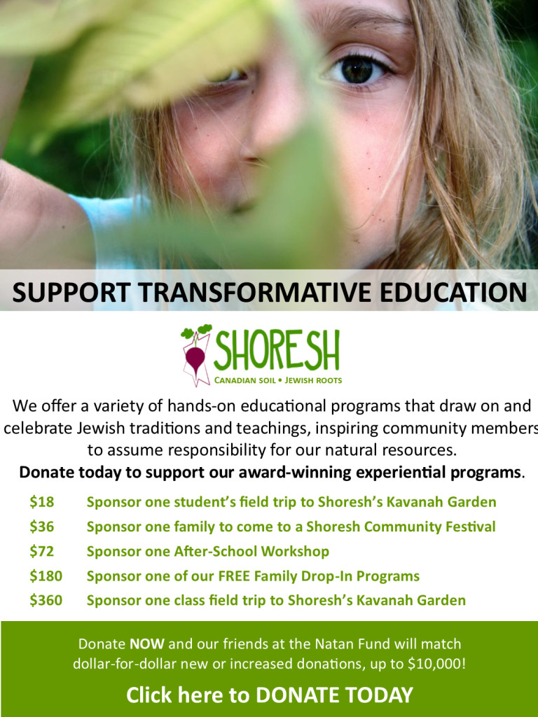 Shoresh Chanukah Campaign Day 1