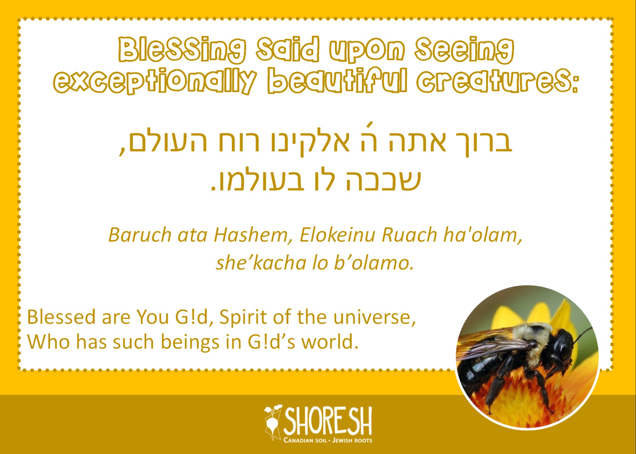 Blessing said upon seeing exceptionally beautiful creatures: ברוך אתה ה אלקינו רוח העולם, שככה לו בעולמו. Baruch ata Hashem, Elokeinu Ruach ha'olam, she’kacha lo b’olamo. Blessed are You G!d, Spirit of the universe, Who has such beings in G!d’s world.
