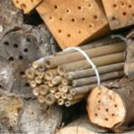 bundle of hollow sticks and assorted logs with holes drilled into them
