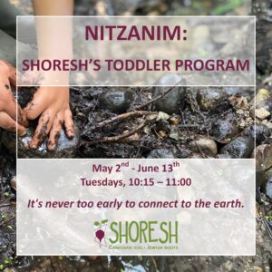 Background image is a photo of a young child's muddy hands playing in mud and rocks. Text reads: NITZANIM: SHORESH'S TODDLER PROGRAM. May 2nd - June 13th. Tuesdays, 10:15-11:00. It's never too early to connect to the earth. Shoresh logo.