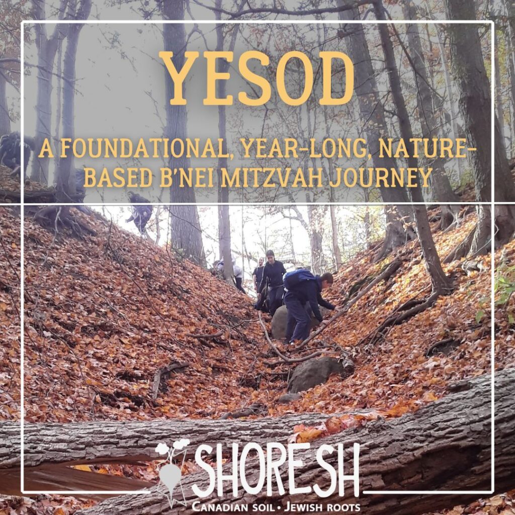 Yesod: A foundational year-long, nature-based B'nei Mitzvah Journey