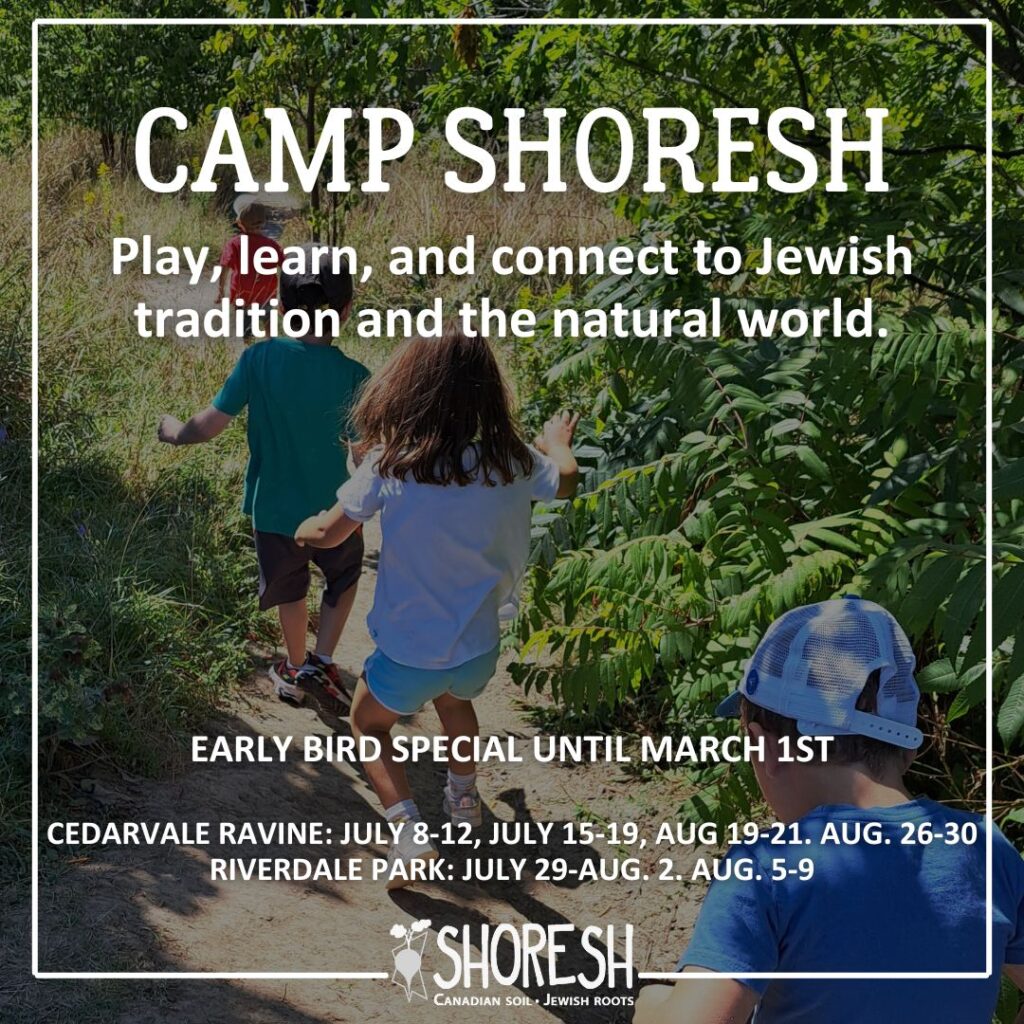 camp shoresh flier early bird special offer