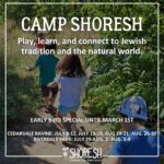 camp shoresh flier early bird special offer