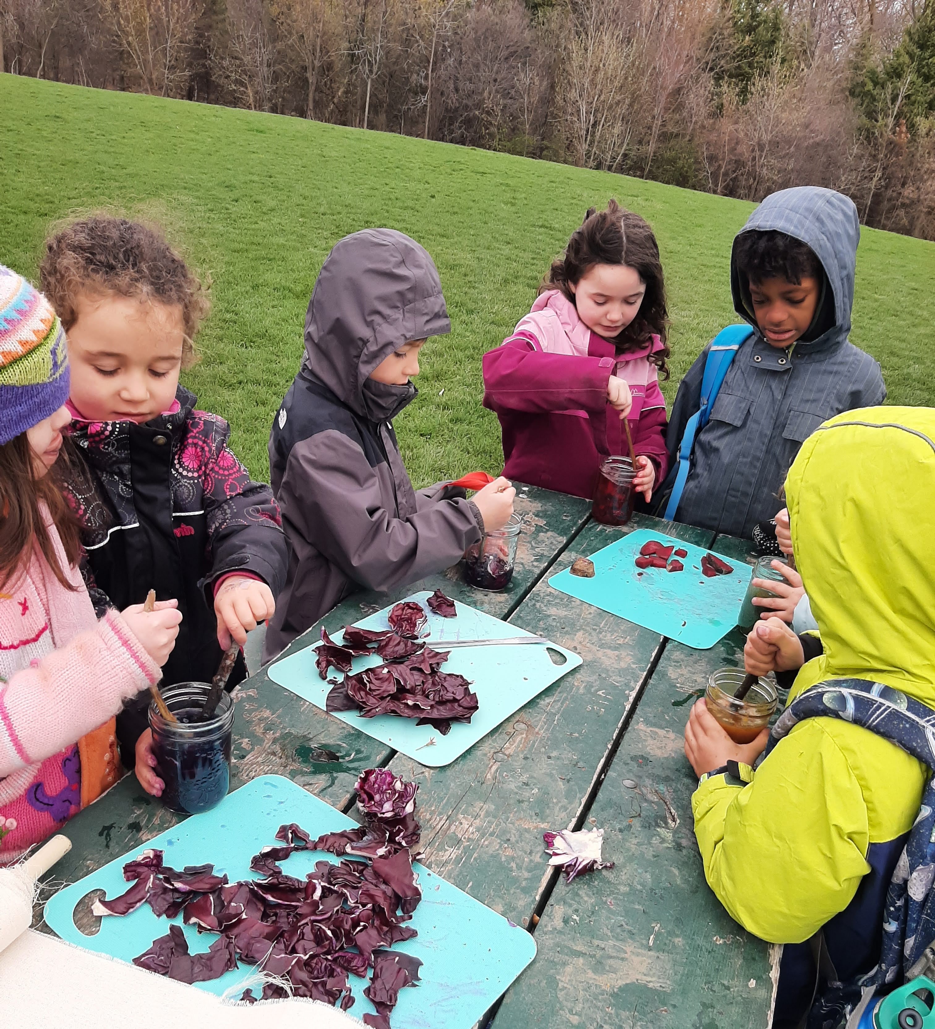 sos CV kitds preparing veggies for nature paint