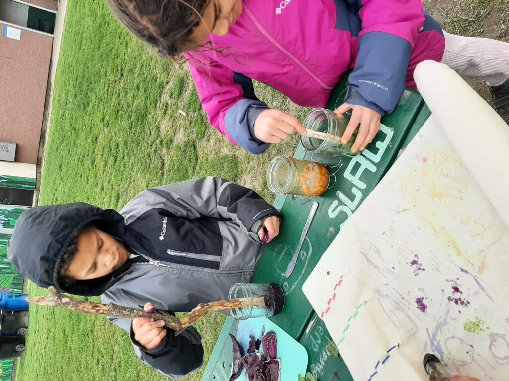 sos RV preparing nature paints