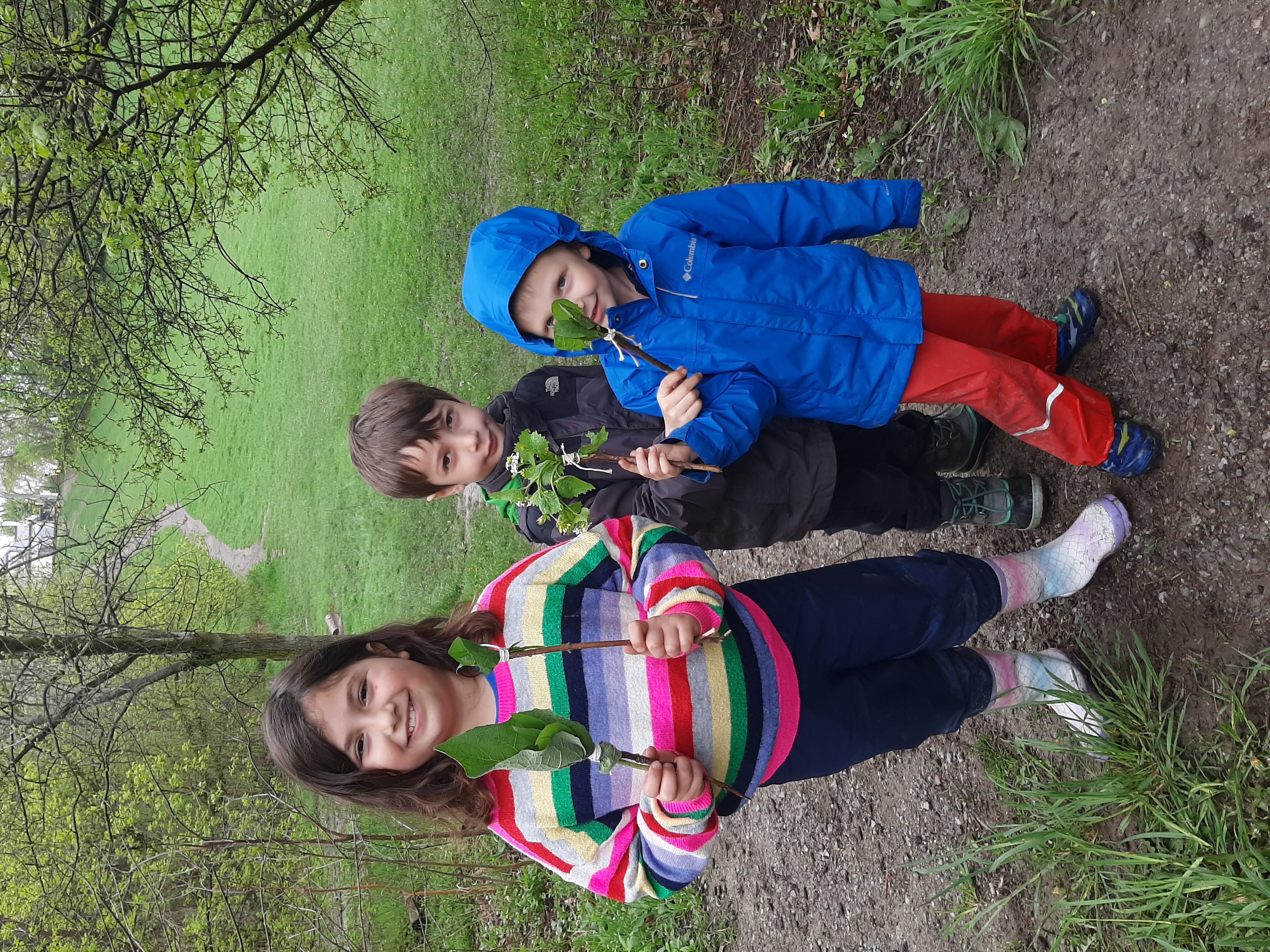 CV sos nature paintbrushes